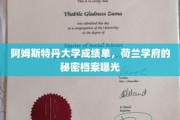 荷兰阿姆斯特丹大学，揭秘真实成绩单背后的秘密档案