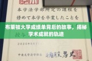解码布莱顿大学成绩单，探寻学子学术辉煌的奥秘轨迹