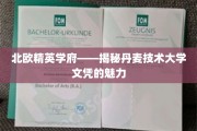 丹麦技术大学，北欧精英教育下的独特文凭优势
