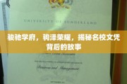 骏驰学府，驹泽荣耀，揭秘名校文凭背后的故事