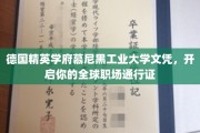 跨越国界，慕尼黑工业大学文凭助力全球职场精英之路