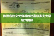 解码杜塞魅力，揭秘欧洲名校文凭背后的杜尔大学传奇