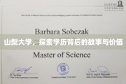 山梨大学揭秘，学历背后的深层故事与价值内涵