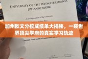 解码加州欧文精英之路，揭秘顶尖学府学子真实学习轨迹
