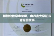 探寻南丹麦大学证书的北欧学术传奇
