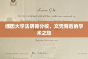 探索缅因大学法明顿分校，学术旅程中的文凭之光