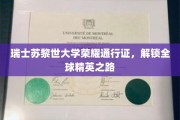 苏黎世大学荣耀通行证，全球精英启航之门