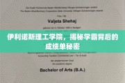 伊利诺斯理工学霸养成记，揭秘他们成绩单背后的不为人知真相