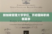 跨国精英之路，新加坡管理大学学位助你开启全球职场新纪元