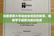 解码伯恩茅斯大学，成绩单背后的学子蜕变之路