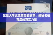 延世荣耀，名校文凭背后的传奇力量揭秘