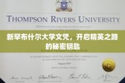 解锁精英殿堂，新罕布什尔大学文凭背后的非凡力量