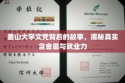 釜山大学文凭价值揭秘，探究其真实含金量与职场影响力