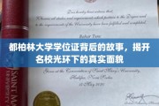 揭开都柏林大学学位证之谜，名校光环下的真实面纱大揭秘