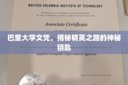 解锁精英学府，巴里大学文凭背后的独特魅力
