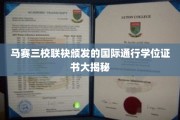 马赛三校联发国际学位证书，揭秘全球认可的学术通行证