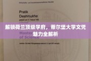 荷兰顶级学府风采，蒂尔堡大学学位魅力揭秘之旅