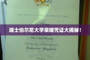 伯尔尼大学精英证书背后的传奇故事揭晓