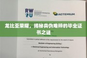 毕业证书真假难辨，龙比亚荣耀背后的秘密大揭秘！