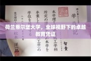 荷兰蒂尔堡大学，铸就国际视野的卓越教育品牌