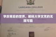 学历之光，探索大学文凭背后的广阔人生舞台