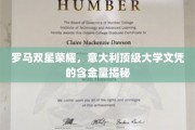 意大学荣耀双星，揭秘意大利顶级文凭的非凡价值