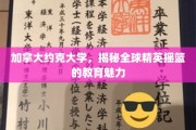 探索加拿大约克大学，塑造未来精英的全球教育典范
