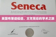 穿越文凭，布莱德福德学子探寻学术奥秘之旅