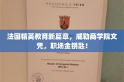 威勒商学院，开启法国精英教育新纪元，成就职场辉煌之路