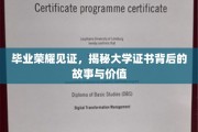 青春印记，揭秘大学证书的荣耀之旅与深远意义