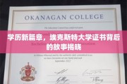 解码未来之门，埃克斯特大学证书的非凡旅程
