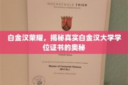 白金汉学府之谜，一探究竟的证书传奇