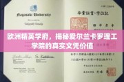 解锁爱尔兰卡罗理工学院，欧洲精英学府的文凭含金量解析