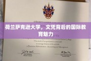 解码荷兰萨克逊大学，文凭背后的全球教育风采