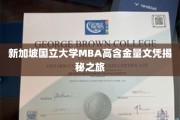 解码新加坡国立大学MBA卓越文凭之旅